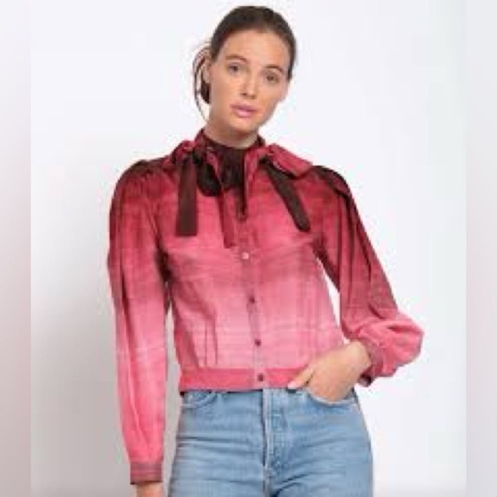 NWT Katharine Kidd Carlee Po Pink Ombre Top Sz-2